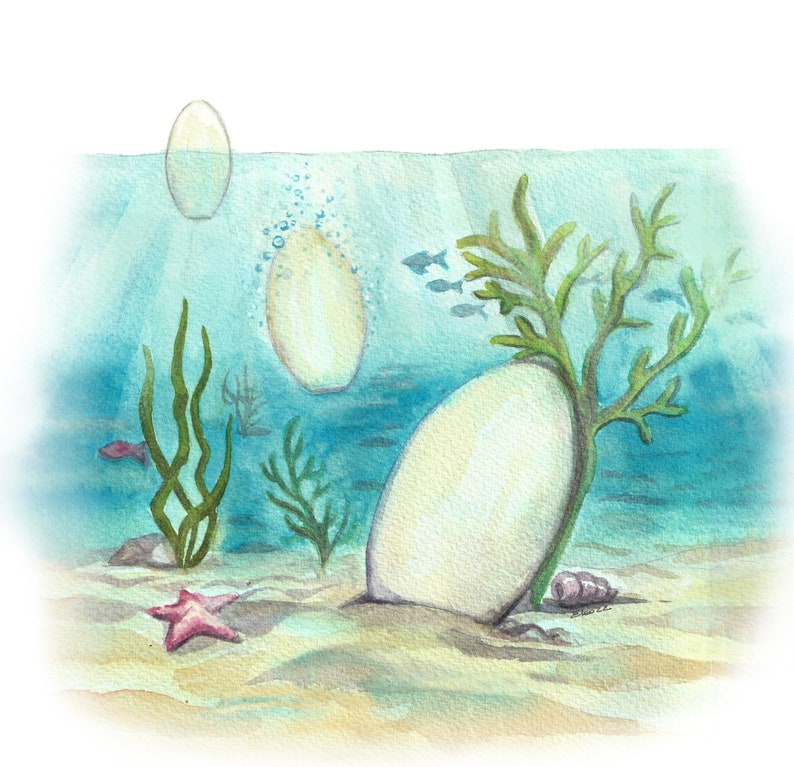Disegno descrittivo urna Biodegradabile Coco nella sua discesa verso il blu.
