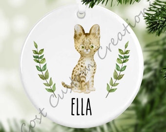 Personalized Kitten Ornament, Cat Lover Gift, Kitten Ornament, First Christmas, Kids Ornament