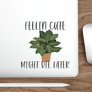 Feelin Cute Might Die Later Haus-Pflanze Die-Cut Aufkleber
