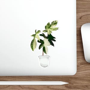 Philodendron Selloum Varigated Die-Cut Aufkleber