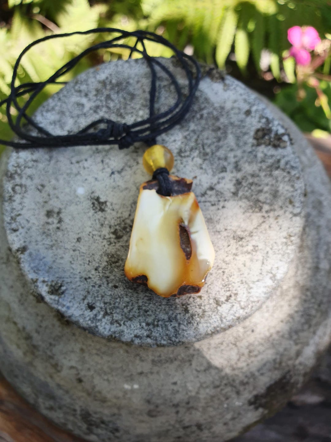 White Baltic Amber, a Pair of Rare Pieces of Amber - Etsy