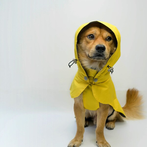 Hund Regenmantel Gelbe Katze Hundejacke Oberbekleidung Wasserdichter Regen Slicker Poncho Benutzerdefinierte Haustier-Tuch