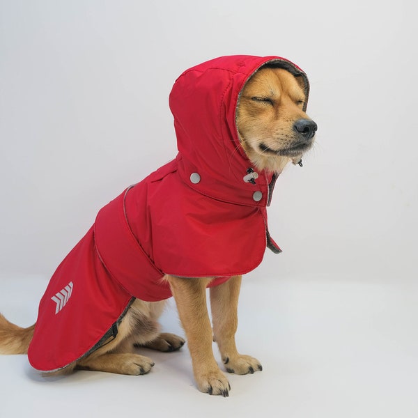 Manteau de neige d'hiver pour chien avec polaire, veste imperméable pour chien avec capuche, tissu élégant pour noël et nouvel an