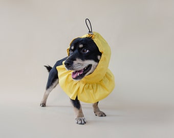 Waterproof dog rain hat rain hood, Best dog snood, Medium Large dog head and ear cover, Custom Pet Accessory