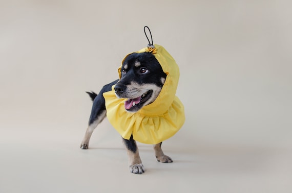 Imperméable Animaux Compagnie Chiens Moyens Grands - Temu France
