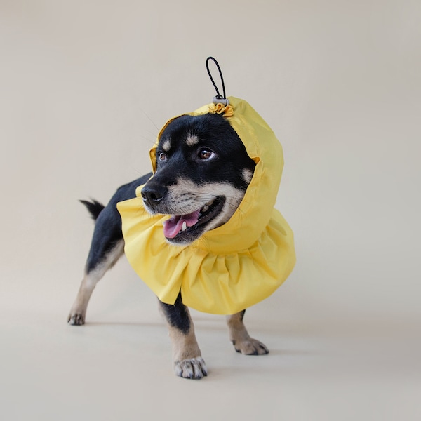 Waterproof dog rain hat rain hood, Best dog snood, Medium Large dog head and ear cover, Custom Pet Accessory