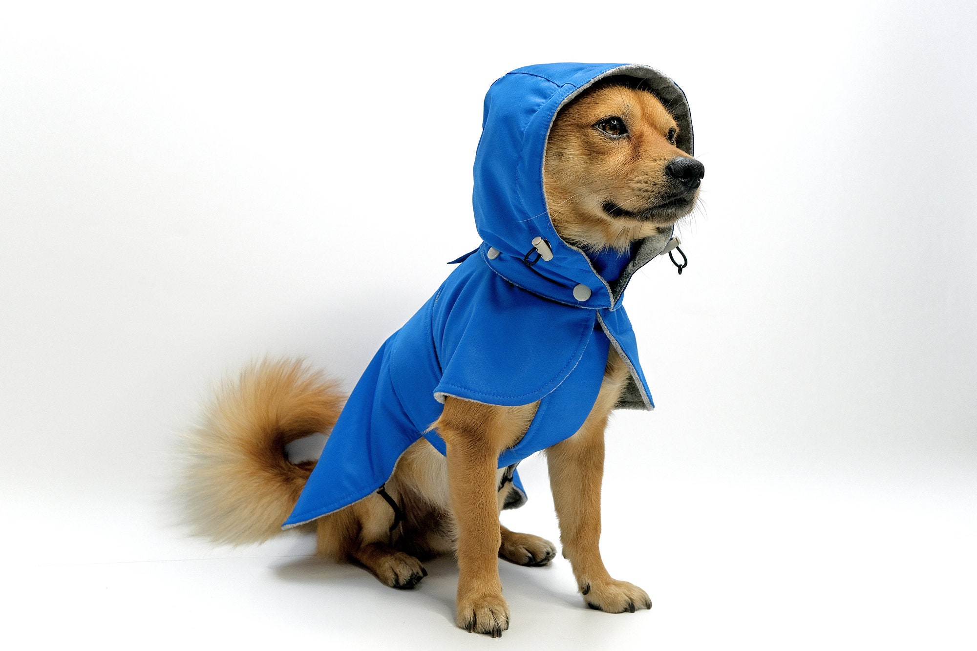 Dog winter coat with fleece// Classic blue waterproof snow Etsy