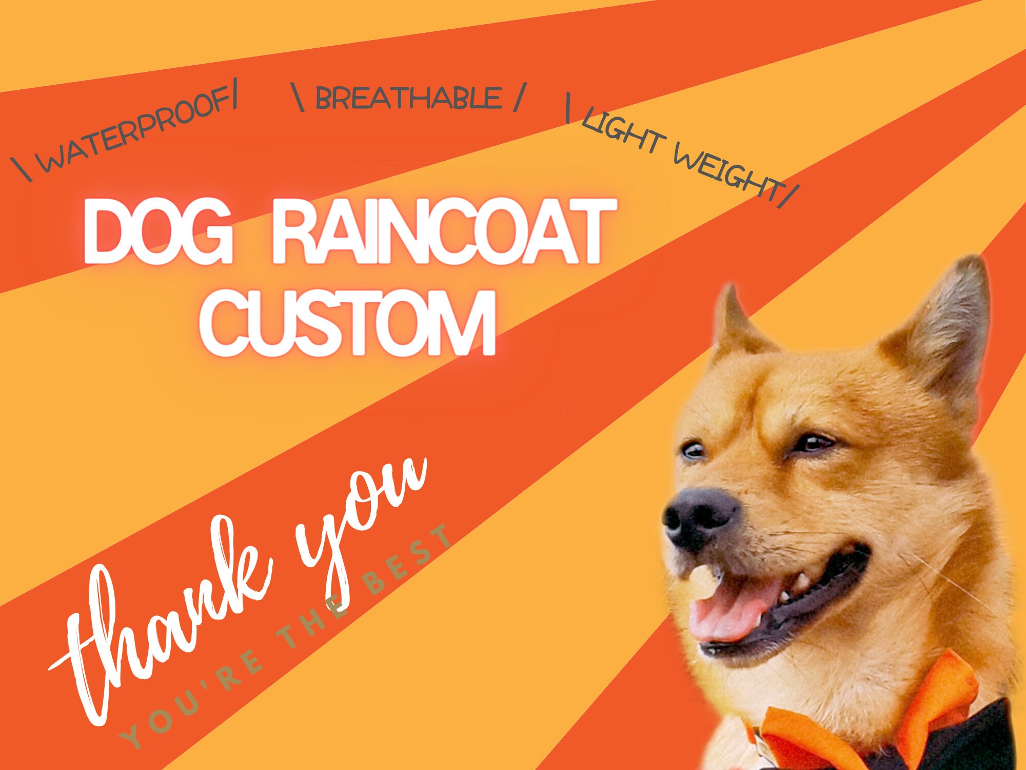 reflective dog raincoat