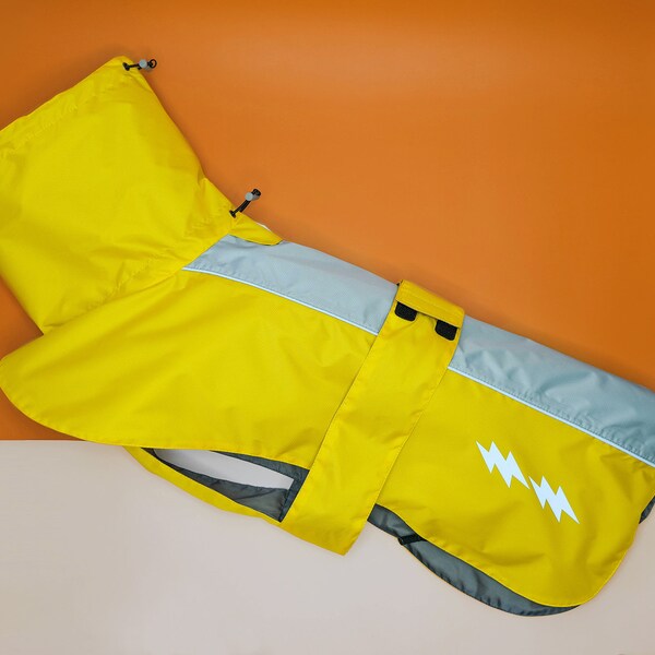 Yellow Raincoat Etsy