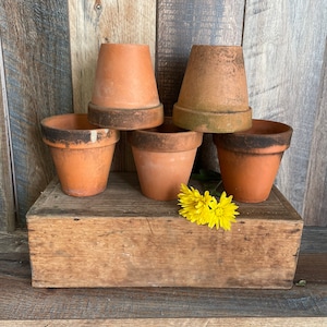 May include: Five terracotta flower pots of varying sizes are arranged on a wooden box. A yellow flower sits in front of the pots.