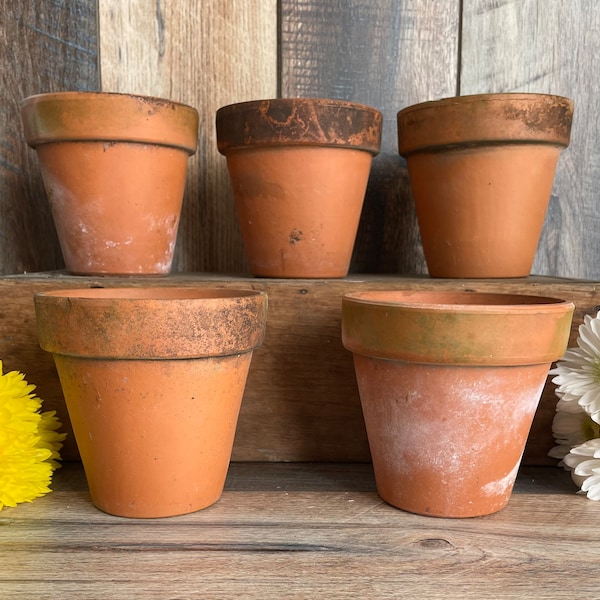 Vintage Terra-cotta Clay Pot, 4.5 inches, Flower Pot Planter, vintage, natural patina, clay pot, shabby chic, she shed