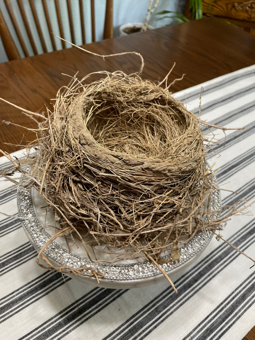 Real Birds Nest. Flower Arrangement Bird Nest. Authentic Etsy