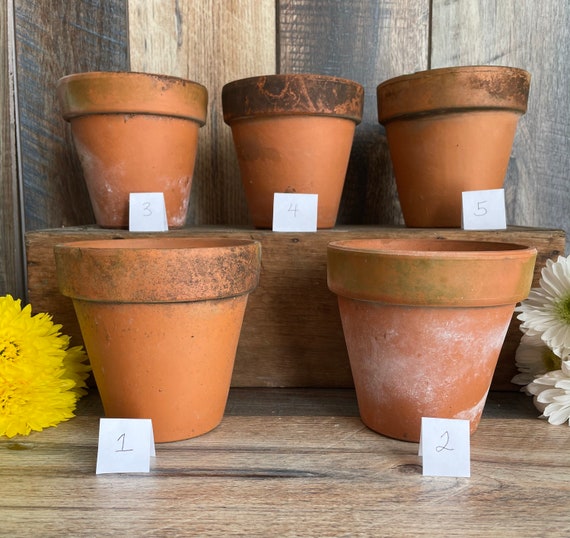 Vintage Terra-cotta Clay Pot, 4.5 Inches, Flower Pot Planter, Vintage,  Natural Patina, Clay Pot, Shabby Chic, She Shed 