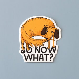 Lustiger Hundeaufkleber | So Now What Vinyl Aufkleber | Aufkleber | Wunderlicher wasserdichter Aufkleber | 7 x 7,5 cm
