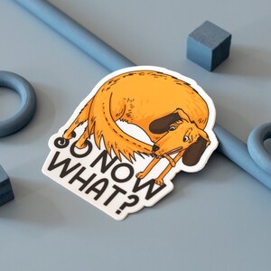 May include: A white sticker with a cartoon illustration of a brown dog with its tail curled around its body. The dog is looking down at a stick in its mouth. The text "So now what?" is printed in black on the sticker.