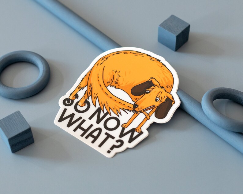 May include: A white sticker with a cartoon illustration of a brown dog with its tail curled around its body. The dog is looking down at a stick in its mouth. The text "So now what?" is printed in black on the sticker.
