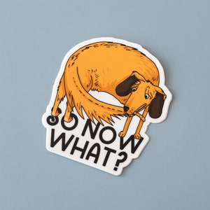 May include: A white sticker with a cartoon illustration of an orange dog licking its tail. The text "So now what?" is written in black below the dog.