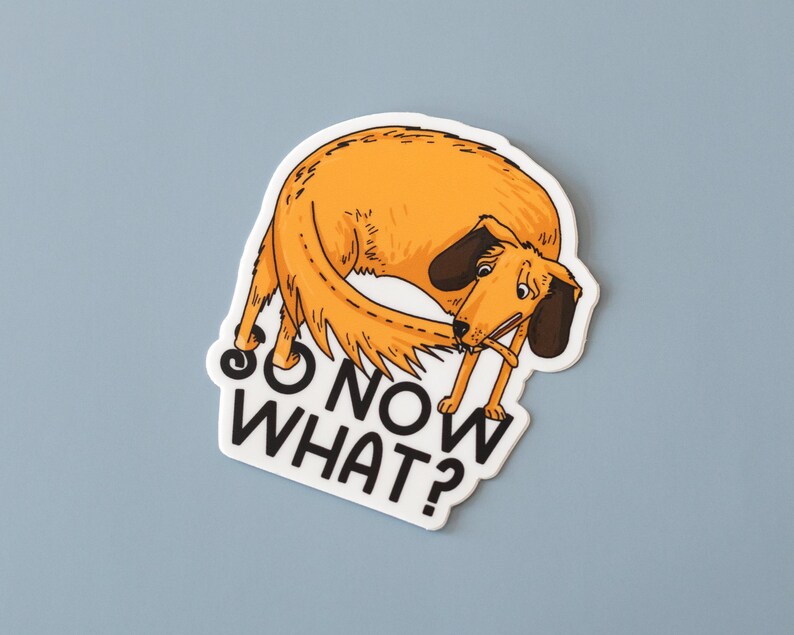 May include: A white sticker with a cartoon illustration of an orange dog licking its tail. The text "So now what?" is written in black below the dog.