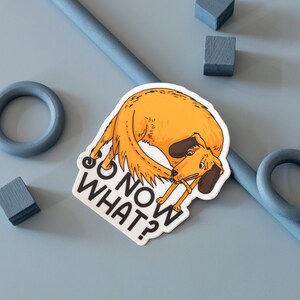 May include: A white sticker with a cartoon illustration of an orange dog with the text "So Now What?" printed on it.
