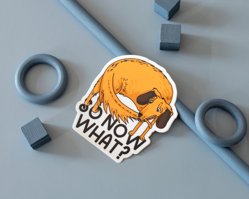 May include: A white sticker with a cartoon illustration of an orange dog with the text "So Now What?" printed on it.