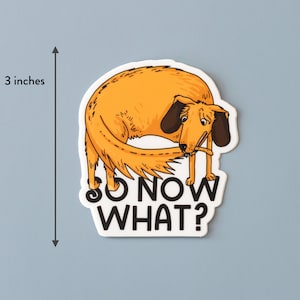 May include: A sticker featuring a cartoon dog with a brown and orange body, a black nose, and a stick in its mouth. The dog is curled up in a circle with its tail wrapped around its body. The text "SO NOW WHAT?" is written in black letters below the dog.
