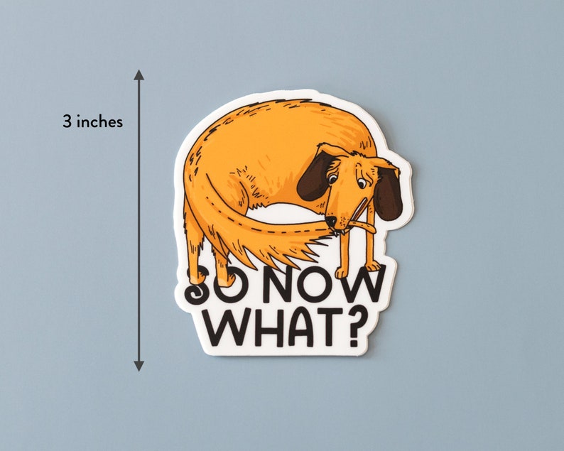 May include: A sticker featuring a cartoon dog with a brown and orange body, a black nose, and a stick in its mouth. The dog is curled up in a circle with its tail wrapped around its body. The text "SO NOW WHAT?" is written in black letters below the dog.