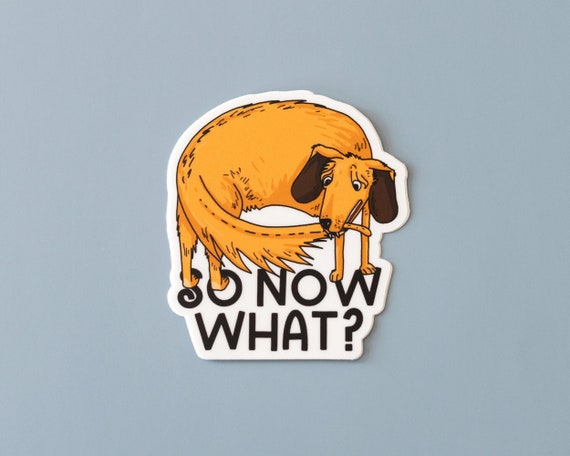 Funny Dog Sticker | So Now What Vinyl Sticker | Quirky Decal | Whimsical Waterproof Sticker | 2.75 x 3 inches