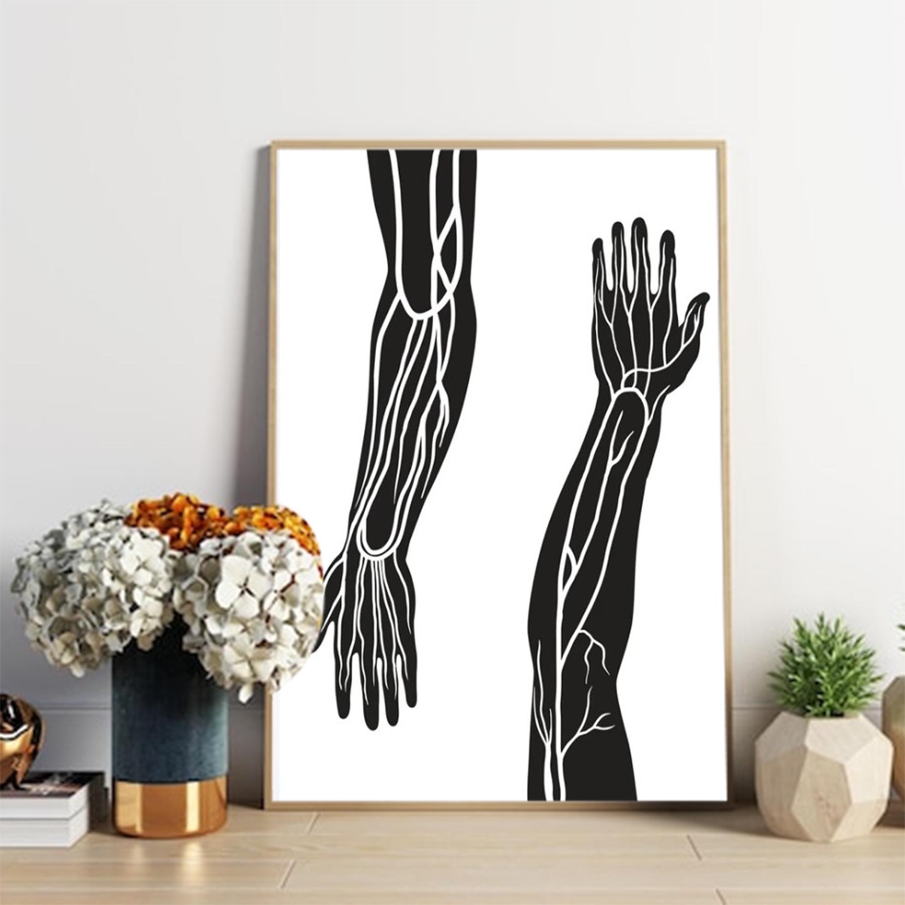 Armes et veines et capillaires Poster