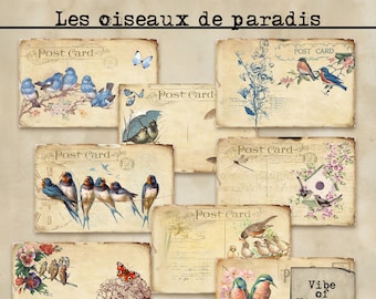 Oiseaux de paradis Cartes postales vintage imprimables pour Junk Journals