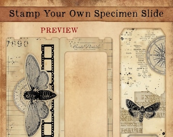 Stamp your own Specimen Slides, Photo slides, Junk journaling.