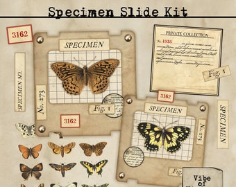 Printable Specimen Slide Kit for junk journals. (READY TO USE)