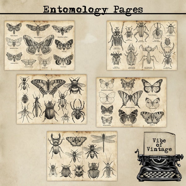 Entomology Pages, Specimens, Field Specimens, Printable Pages for junk Journaling