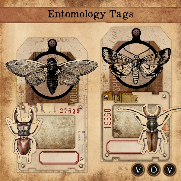 Entomology Tags, Vintage Tags, Tag set, Set of 4 Vintage Specimen Tags, Embellishment Tags, Layered Tags,Vintage Grunge Tag Kit