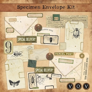 Kit d'enveloppes de spécimens pour les journaux indésirables et autres projets d'artisanat en papier, journalisation indésirable vintage, éphémères vintage, enveloppes vintage