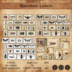 Musteretiketten, Jpeg und Png, 50+ Etiketten und eine Tintensparseite für Junk Journaling und anderes Papierhandwerk.
