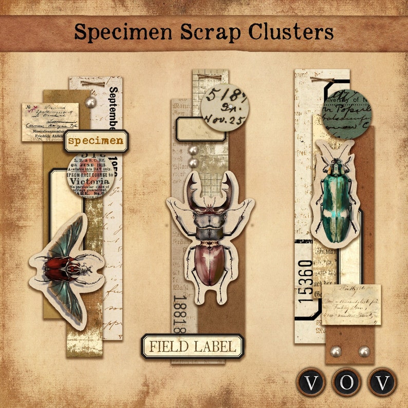 Specimen Scrap Clusters for Junk Journals and Other Paper Craft ...