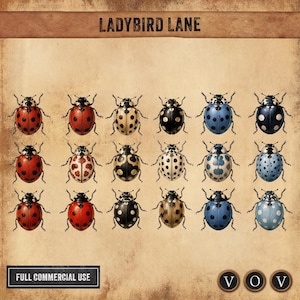 Peut inclure: Une collection numérique de dix-huit illustrations de coccinelles disposées en trois rangées sur un fond parchemin texturé. Les coccinelles présentent divers motifs de couleurs dont le rouge, le noir, le crème et le bleu. Le texte LADYBIRD LANE est en haut.