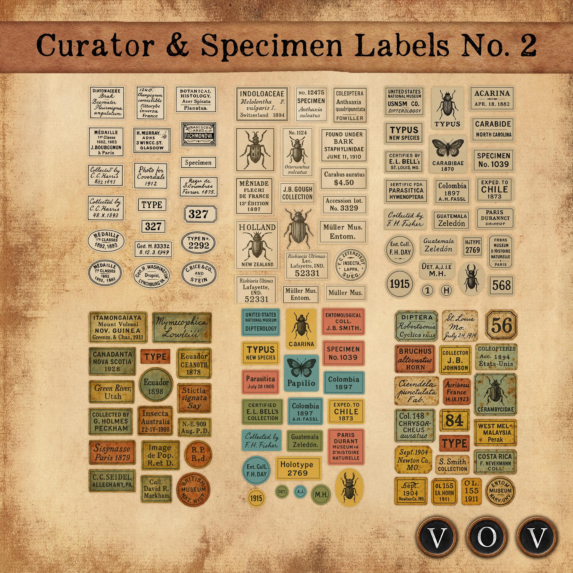 Curator & Specimen Labels No.2 – Printable Entomology-Inspired Labels for Junk Journals, Snippets.