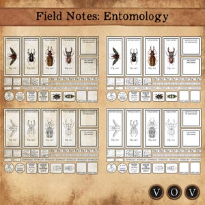 Notes de terrain : entomologie. Étiquettes, cartes, étiquettes et ruban adhésif Washi. Couleur + économiseur d'encre. Journal indésirable, travaux manuels en papier, éphémères, spécimen.