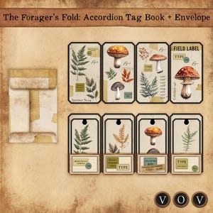 Könnte beinhalten: Ein Akkordeon-Tag-Buch und Umschlag-Set. Die Tags zeigen botanische Illustrationen von Farnen und Pilzen mit Etiketten und Text. Der Umschlag und die Tags haben eine Vintage-Ästhetik aus gealtertem Papier. Der Text auf den Tags enthält "The Forager's Fold" und "Specimen No.04".