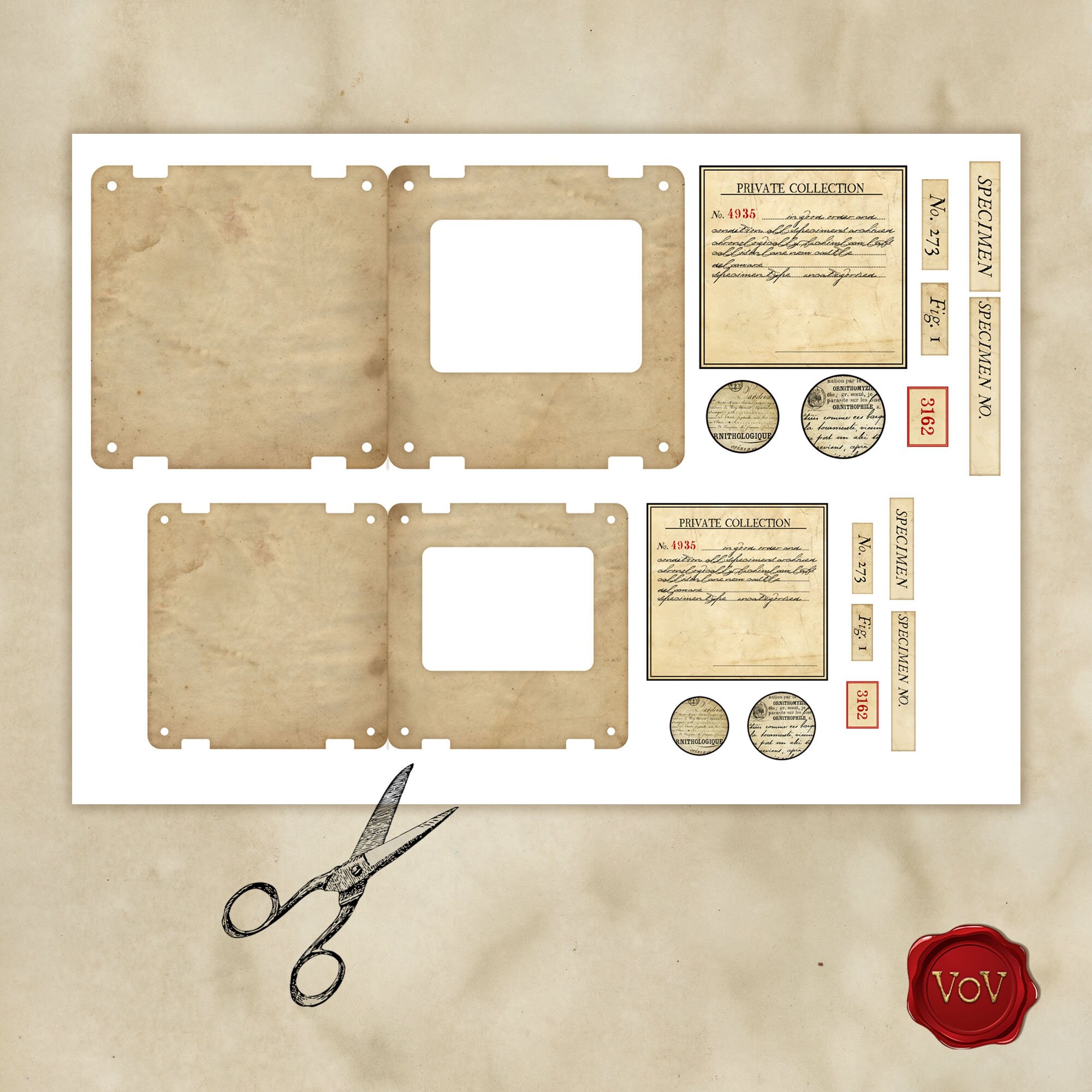 Printable Specimen Slide Kit for Junk Journals. (READY TO USE) - Etsy