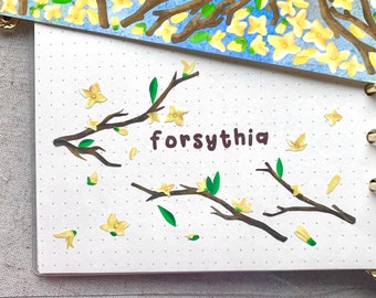 Forsythia Flower Sticker Sheet | Kpop and Deco Sticker for Toploader with Korean Seal Sticker for Cute Bujo with Florals and Flower