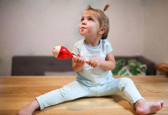 Juguetes de maracas para bebés, niños pequeños de maracas de madera,  juguetes infantiles, regalo de baby