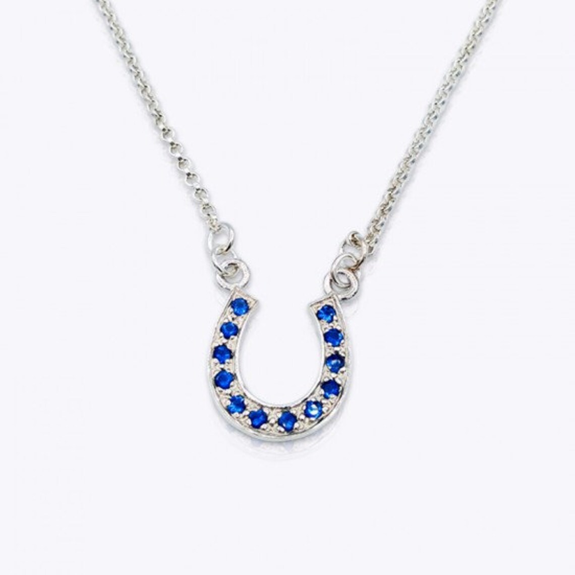 Chicxy 925 Sterling Silver Horse Shoe Necklace With Multiple Etsy