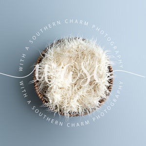 May include: A white faux fur nest in a woven basket, with the text "With a Southern Charm Photography" in a circle around it.