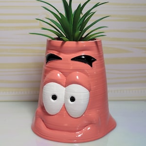Puede incluir: Un macetero de cerámica rosa con forma de personaje de dibujos animados con ojos grandes y una sonrisa. El macetero tiene una planta suculenta verde creciendo dentro.