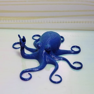 3d Squid