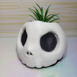 Jack Planter