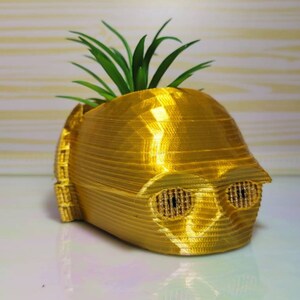 C3PO Planter