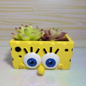 Spongebob planter!